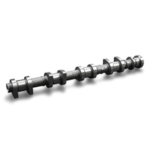 How to overhaul the camshaft?