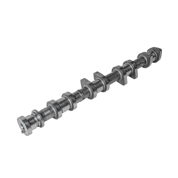 TN4G20T exhaust camshaft assembly 2
